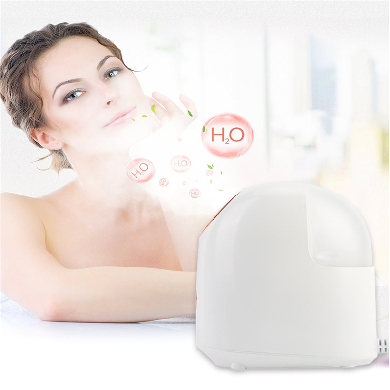 Mist Facial Steamer