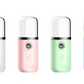 The Mini Face Steamer
