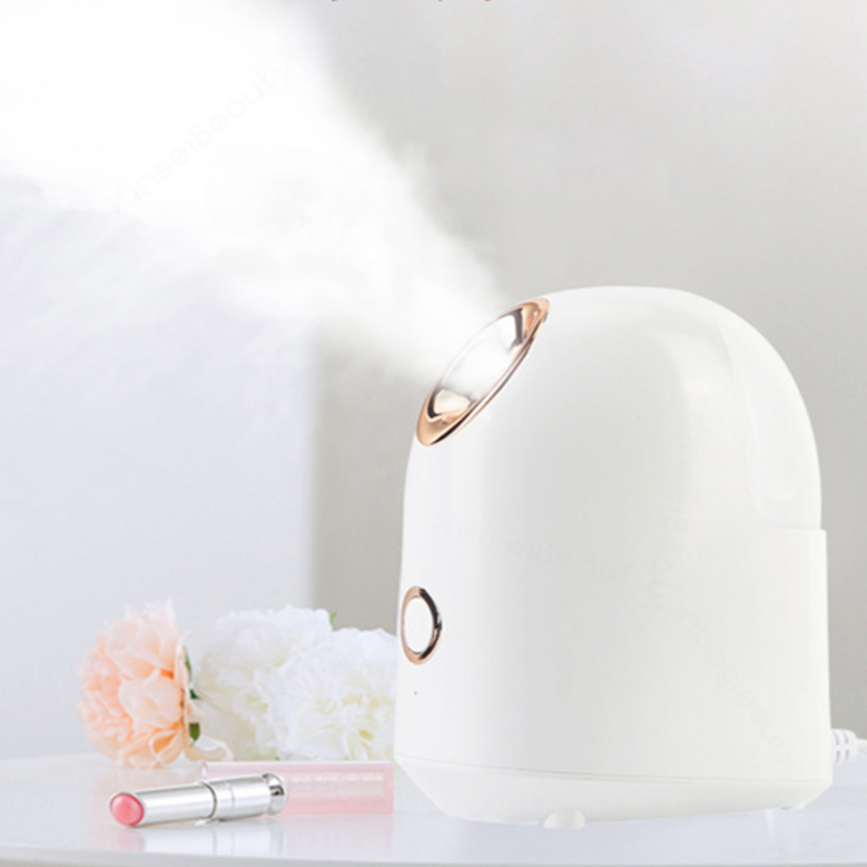 Mist Facial Steamer