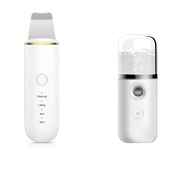 The Mini Face Steamer